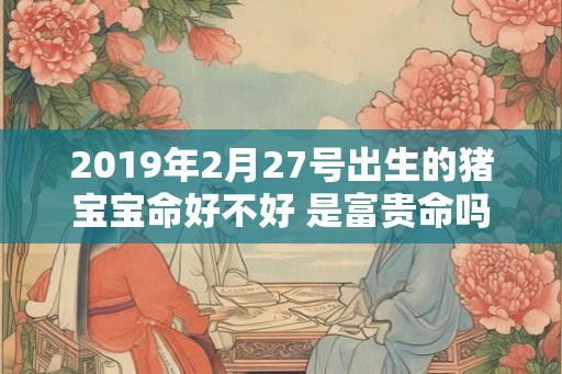 2019年2月27号出生的猪宝宝命好不好 是富贵命吗