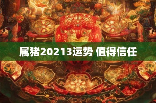 属猪20213运势 值得信任