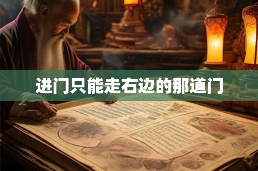进门只能走右边的那道门
