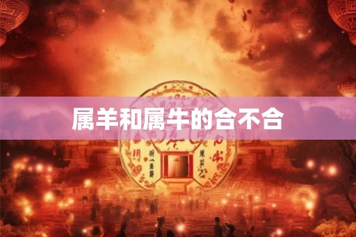 属羊和属牛的合不合
