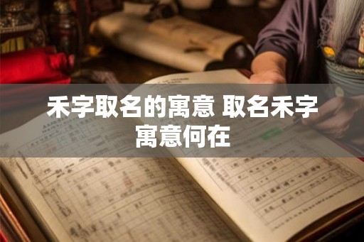 禾字取名的寓意 取名禾字寓意何在 禾字取名的寓意 取名禾字寓意何在