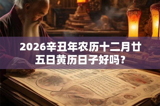 2026辛丑年农历十二月廿五日黄历日子好吗？
