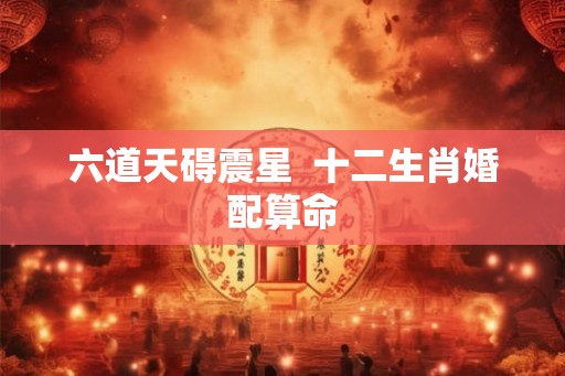 六道天碍震星  十二生肖婚配算命