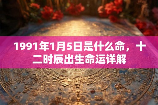 1991年1月5日是什么命,十二时辰出生命运详解 1991年1月5日是什么命,十二时辰出生命运详解