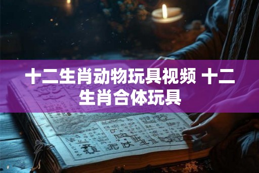十二生肖动物玩具视频 十二生肖合体玩具