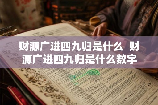 财源广进四九归是什么  财源广进四九归是什么数字