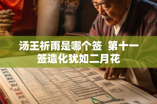 汤王祈雨是哪个签  第十一签造化犹如二月花