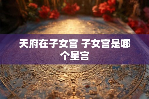 天府在子女宫 子女宫是哪个星宫