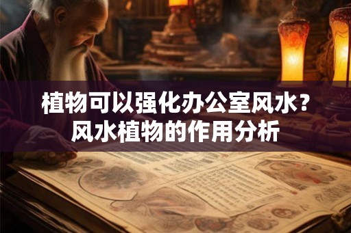 植物可以强化办公室风水？风水植物的作用分析