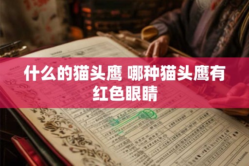 什么的猫头鹰 哪种猫头鹰有红色眼睛