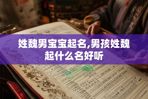 姓魏男宝宝起名,男孩姓魏起什么名好听 姓魏男宝宝起名,男孩姓魏起什么名好听
