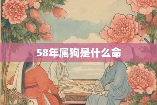 58年属狗是什么命