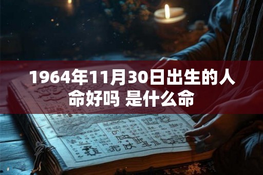 1964年11月30日出生的人命好吗 是什么命