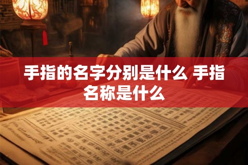 手指的名字分别是什么 手指名称是什么 手指的名字分别是什么 手指名称是什么