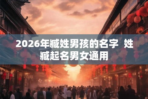 2026年臧姓男孩的名字  姓臧起名男女通用