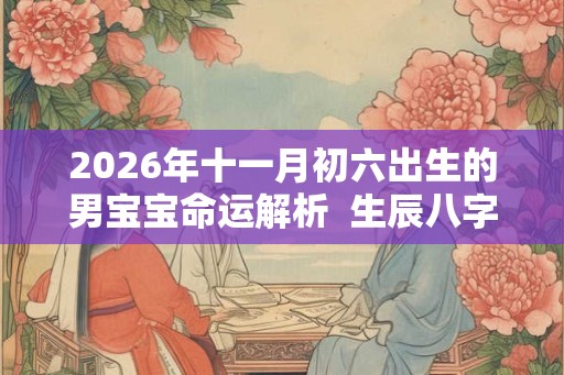 2026年十一月初六出生的男宝宝命运解析  生辰八字算命