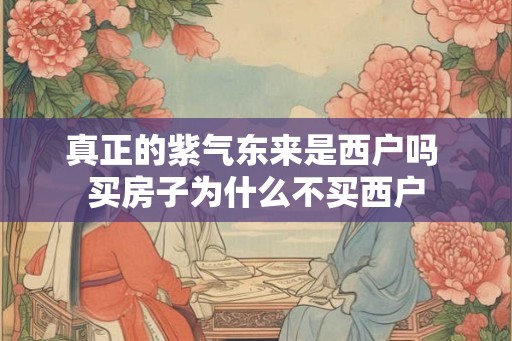 真正的紫气东来是西户吗 买房子为什么不买西户 真正的紫气东来是西户吗 买房子为什么不买西户