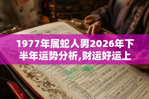 1977年属蛇人男2026年下半年运势分析,财运好运上涨