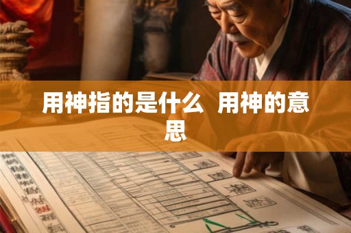 用神指的是什么  用神的意思