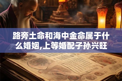 路旁土命和海中金命属于什么婚姻,上等婚配子孙兴旺 路旁土命和海中金命属于什么婚姻,上等婚配子孙兴旺