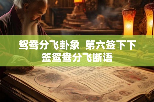 鸳鸯分飞卦象  第六签下下签鸳鸯分飞断语