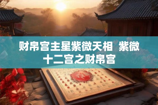 财帛宫主星紫微天相 紫微十二宫之财帛宫 财帛宫主星紫微天相 紫微十二宫之财帛宫