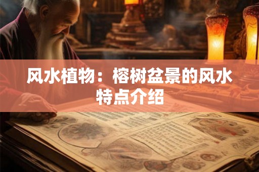 风水植物：榕树盆景的风水特点介绍
