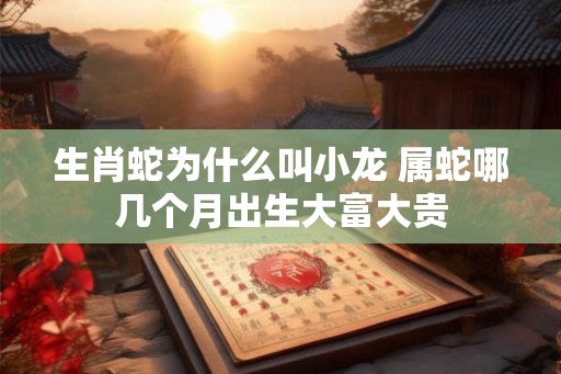生肖蛇为什么叫小龙 属蛇哪几个月出生大富大贵