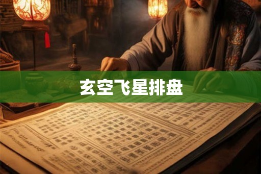 玄空飞星排盘
