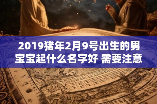 2019猪年2月9号出生的男宝宝起什么名字好 需要注意什么 2019猪年2月9号出生的男宝宝起什么名字好 需要注意什么
