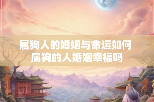 属狗人的婚姻与命运如何 属狗的人婚姻幸福吗