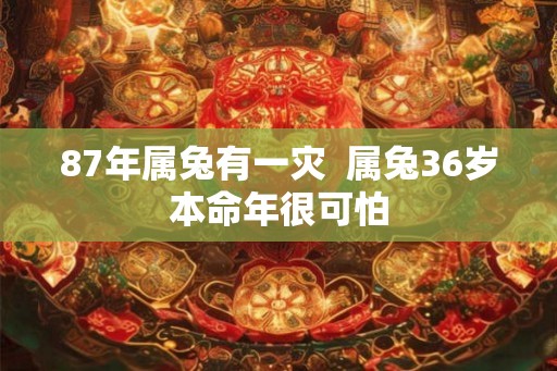 87年属兔有一灾  属兔36岁本命年很可怕