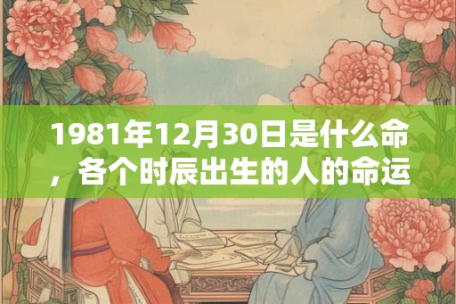 1981年12月30日是什么命，各个时辰出生的人的命运