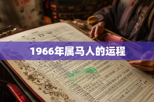 1966年属马人的运程