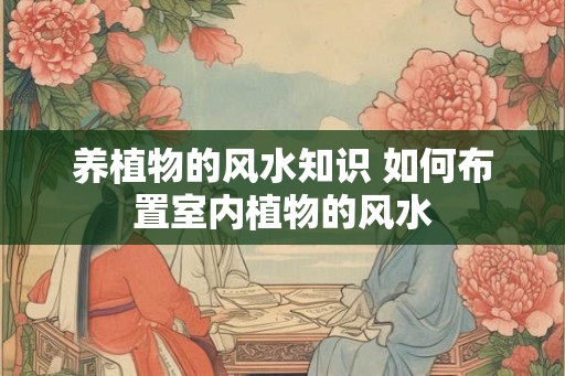 养植物的风水知识 如何布置室内植物的风水