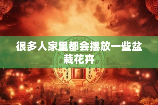 很多人家里都会摆放一些盆栽花卉