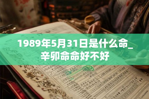 1989年5月31日是什么命_辛卯命命好不好