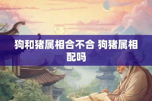 狗和猪属相合不合 狗猪属相配吗