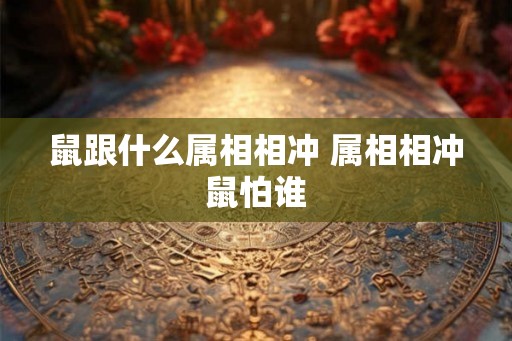 鼠跟什么属相相冲 属相相冲鼠怕谁