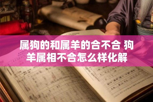 属狗的和属羊的合不合 狗羊属相不合怎么样化解
