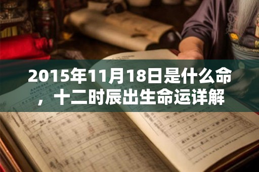 2015年11月18日是什么命，十二时辰出生命运详解