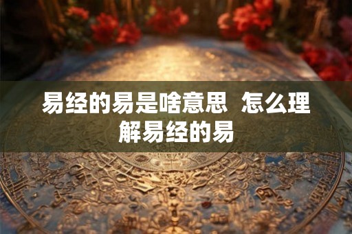 易经的易是啥意思  怎么理解易经的易