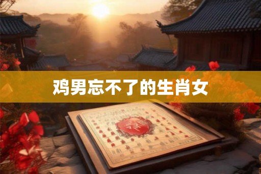 鸡男忘不了的生肖女
