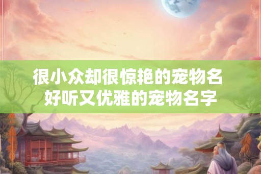 很小众却很惊艳的宠物名 好听又优雅的宠物名字