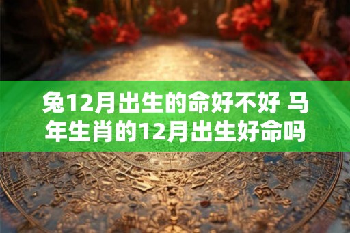 兔12月出生的命好不好 马年生肖的12月出生好命吗