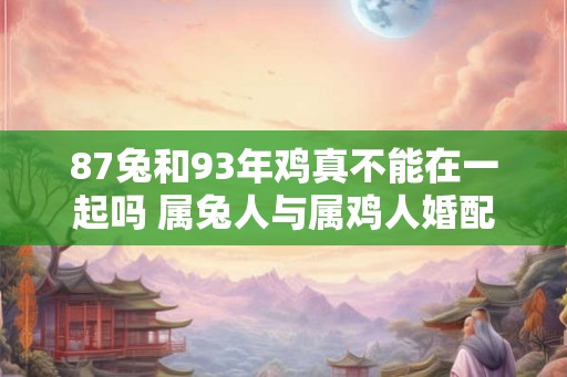 87兔和93年鸡真不能在一起吗 属兔人与属鸡人婚配指数