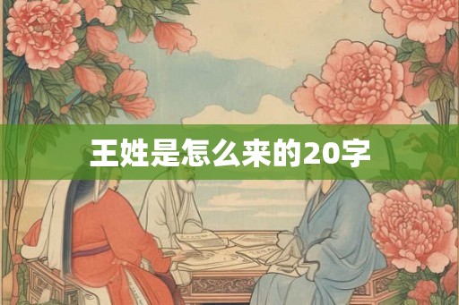 王姓是怎么来的20字