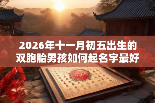 2026年十一月初五出生的双胞胎男孩如何起名字最好，五行属什么