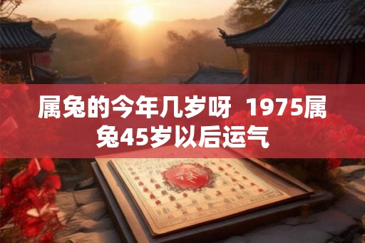 属兔的今年几岁呀  1975属兔45岁以后运气