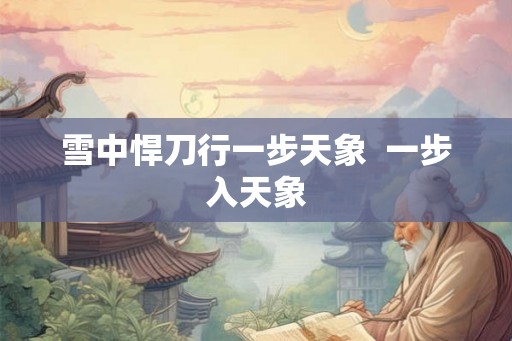 雪中悍刀行一步天象  一步入天象
